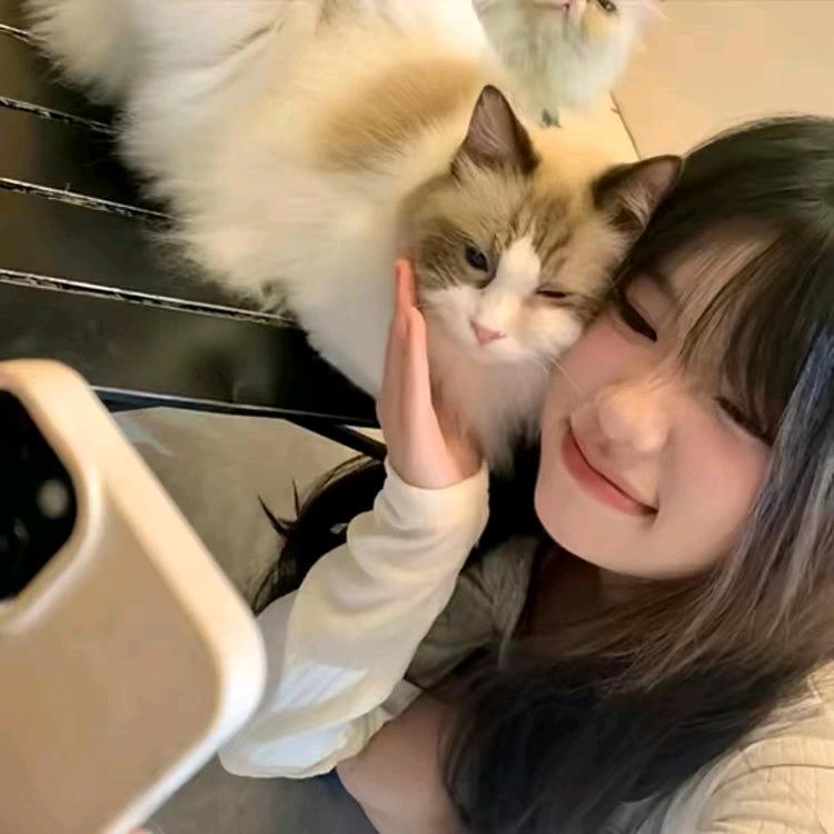 晚宀ಣ