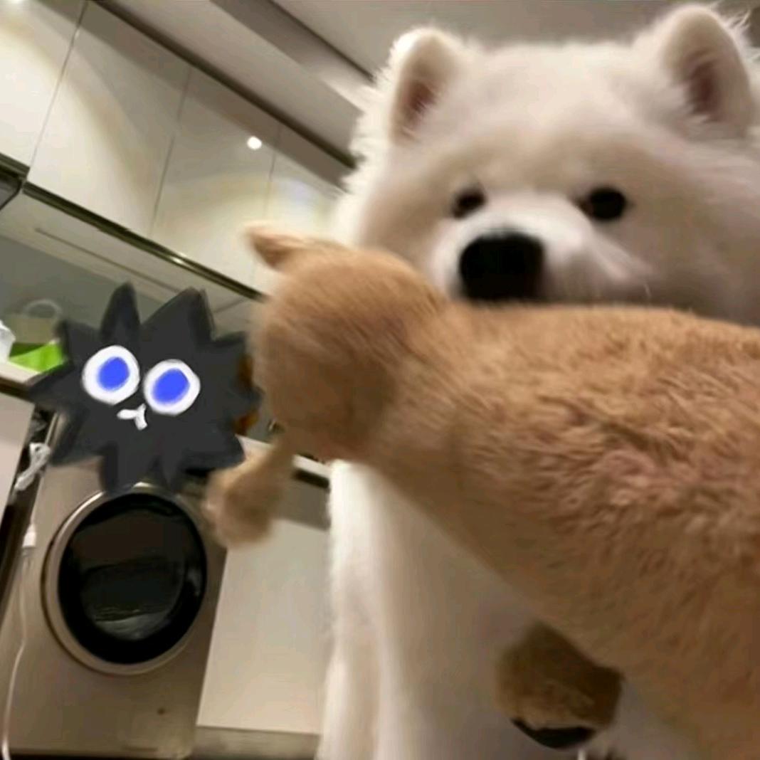 小小腓