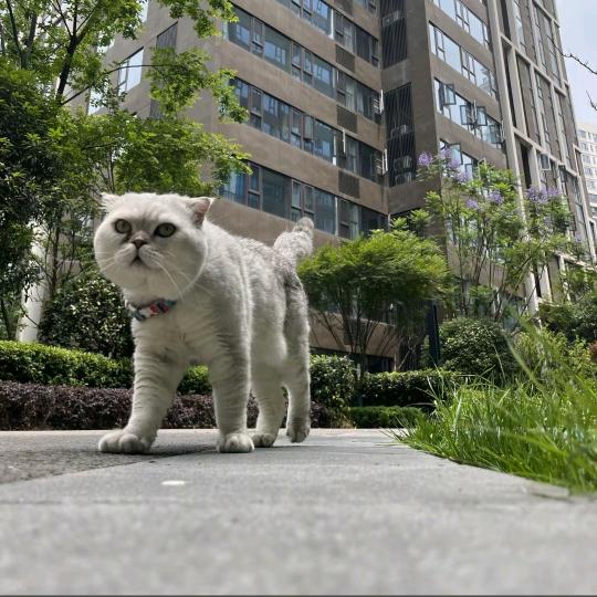 自作多情必伤心