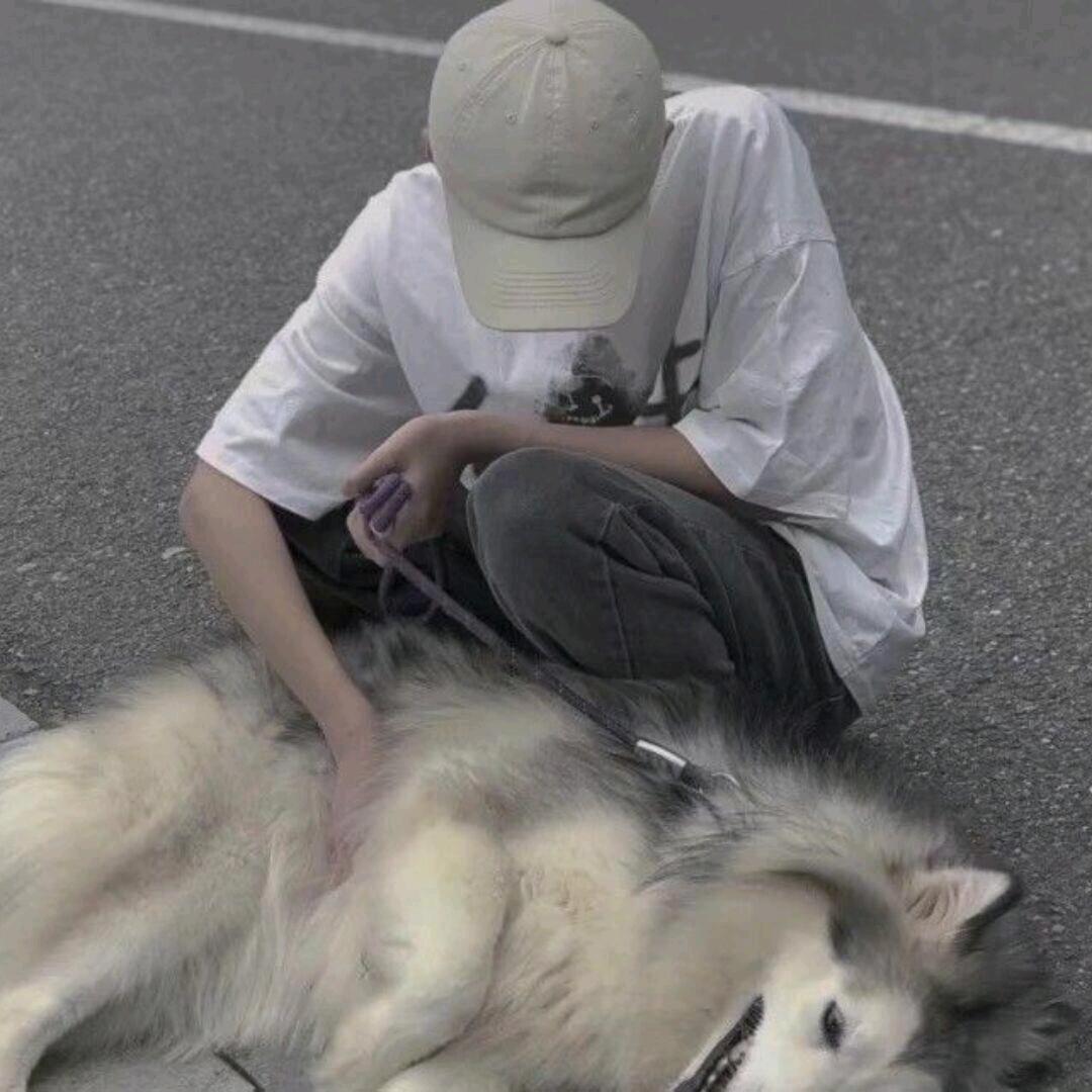 人间忽晚山河已秋