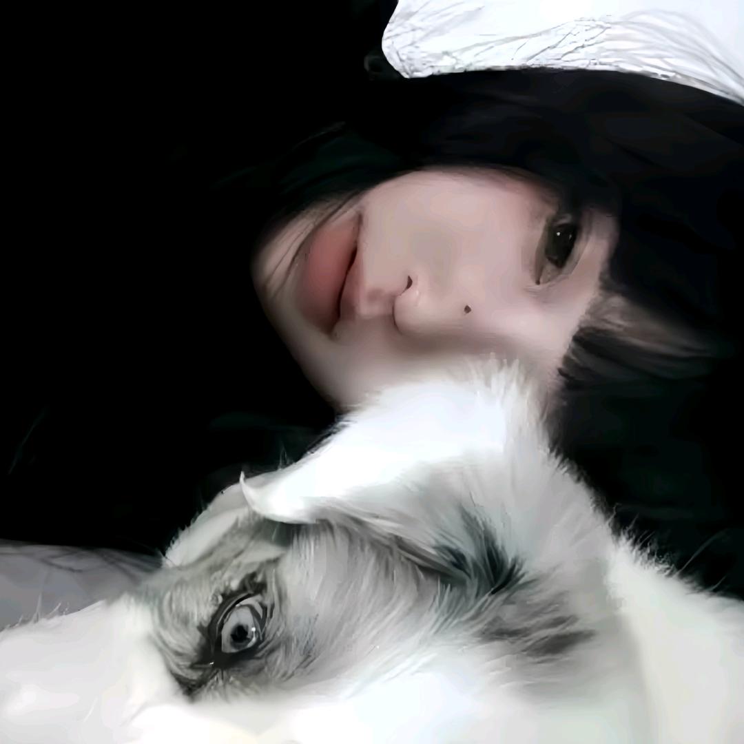 菜菜.