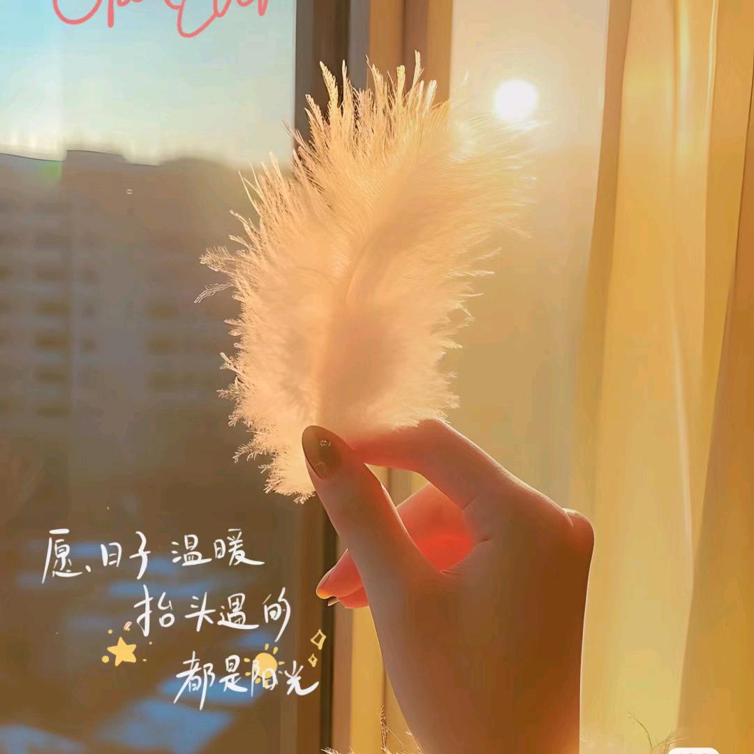 招财猫的小铃铛