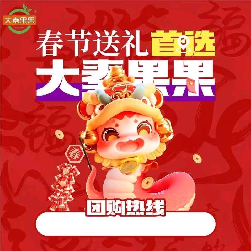 大秦果果赵