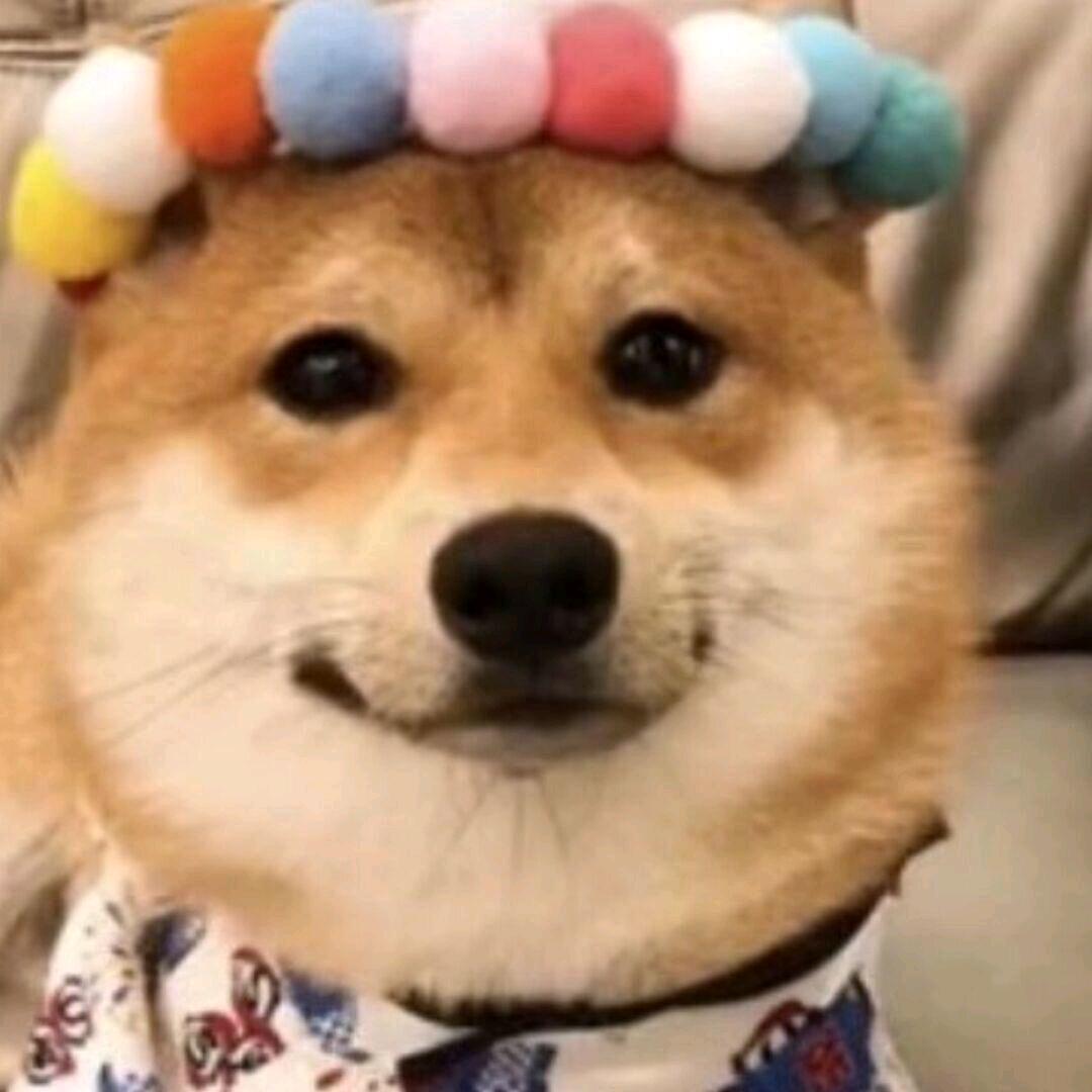 _𝙍𝙚𝙙𝙖𝙢𝙖𝙣𝙘𝙮