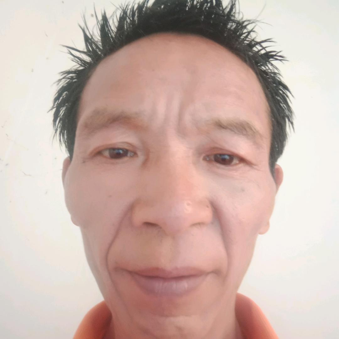 天天开心果