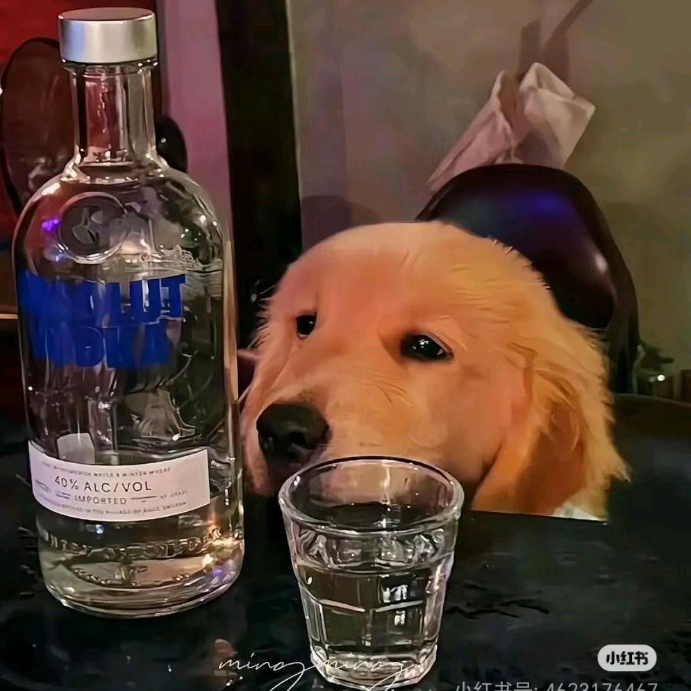 TiAmo♧唯一