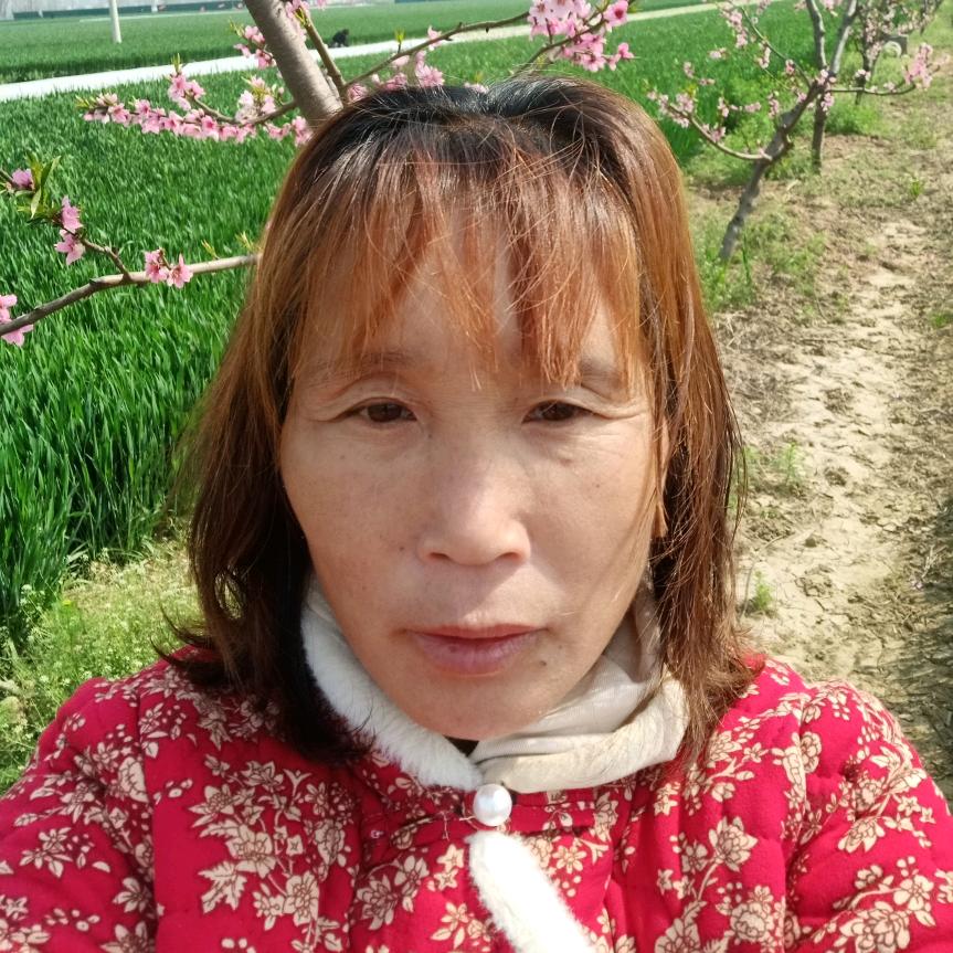 荷唐月色