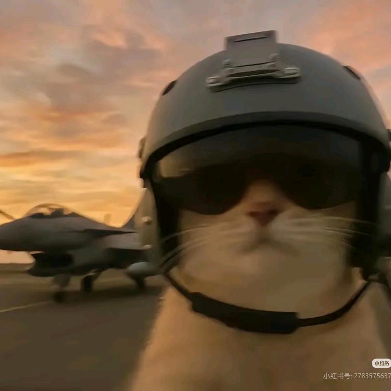 对方正在输入中...