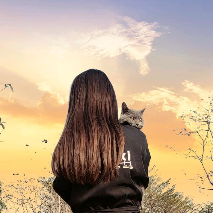 皮总是只猫 猫爸爸的厨房29号晚八点专场