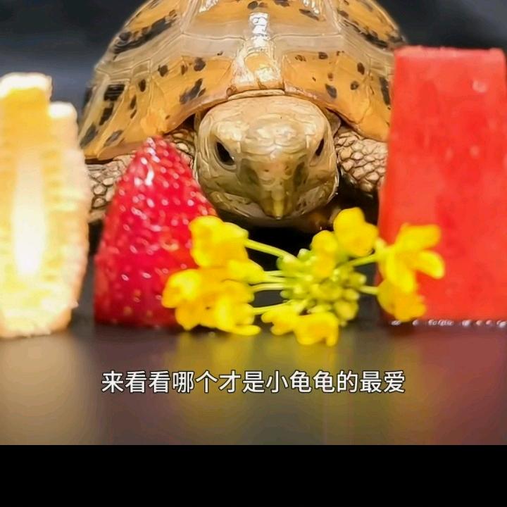 幸福平安过一生