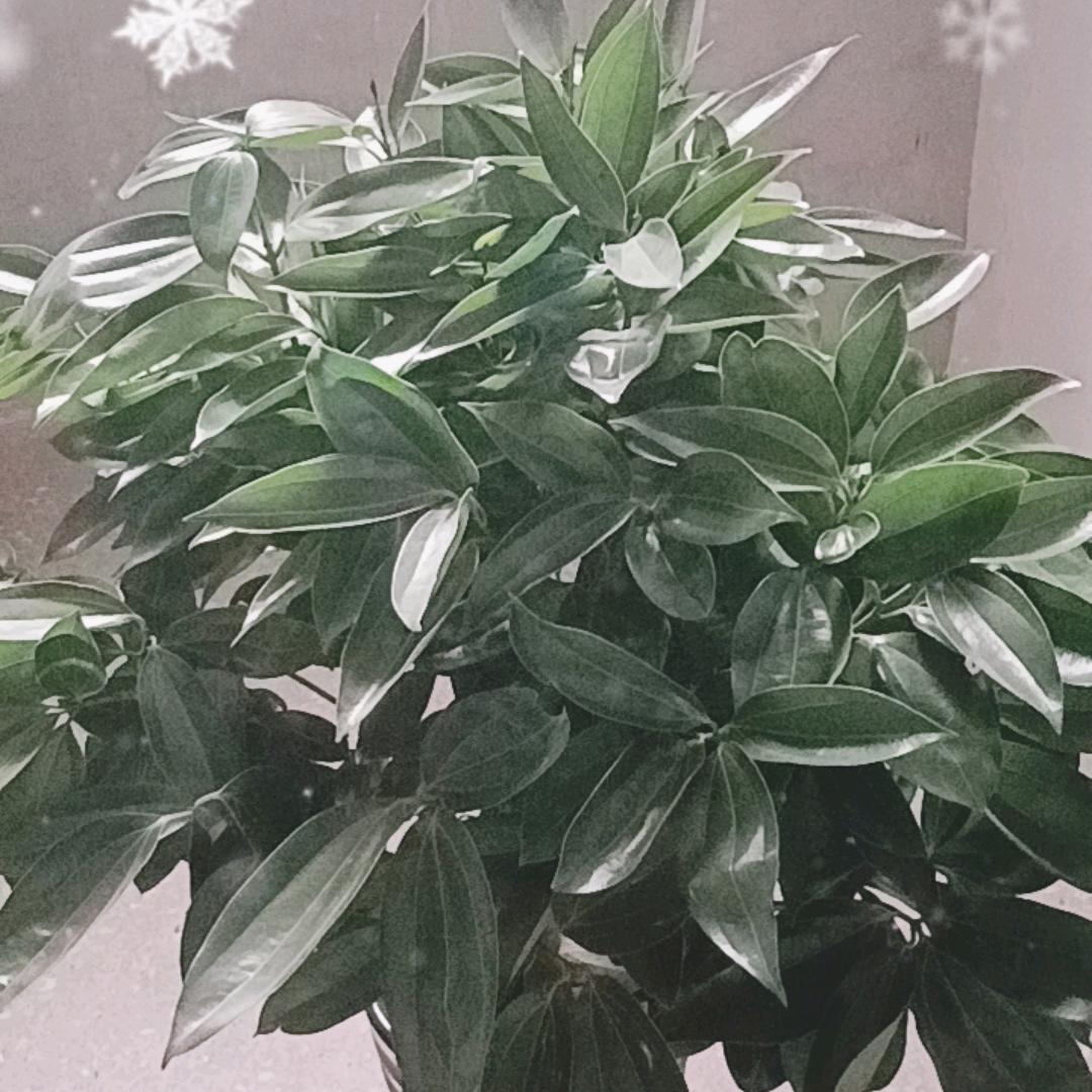 工厂直销