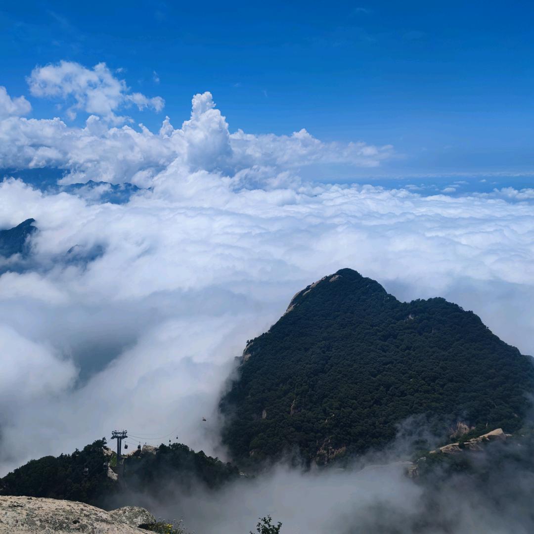 李李李李李