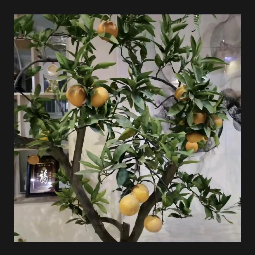 溢清