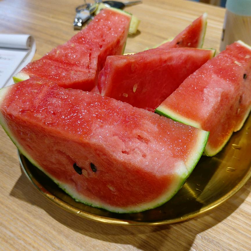 摆烂日常