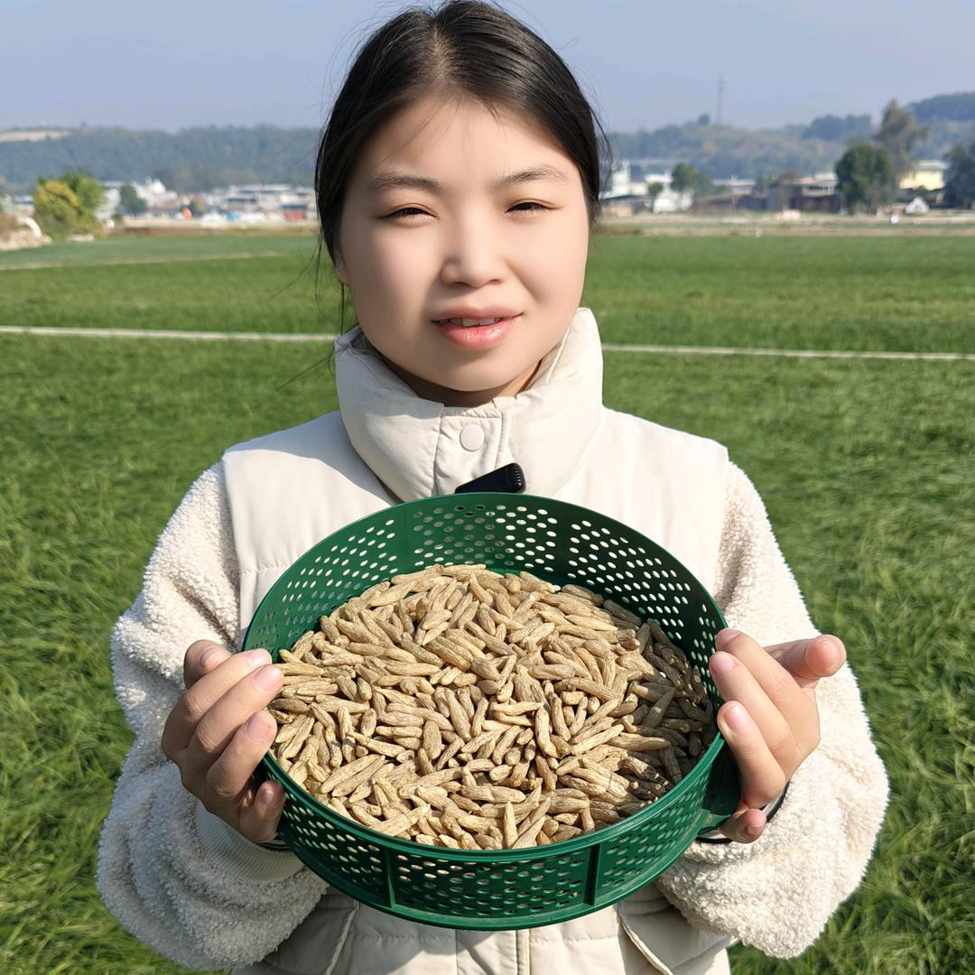 张小安(自家川麦冬)
