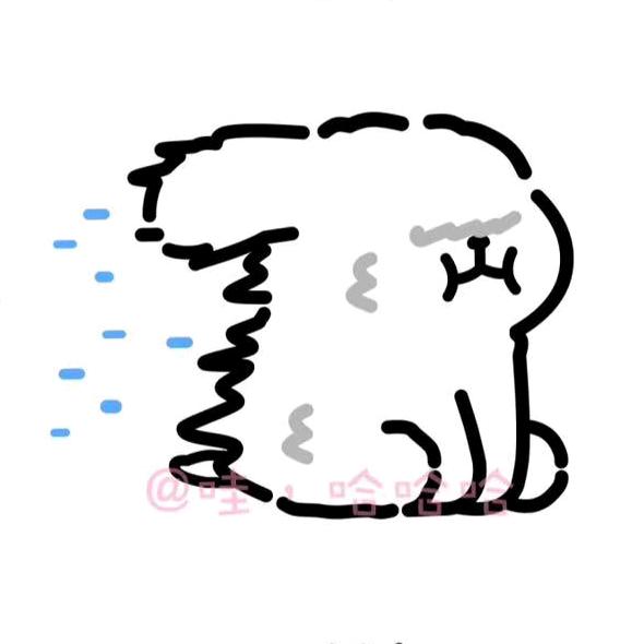 AA阿珂珂