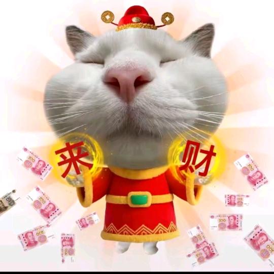 ✨Ö椰✨