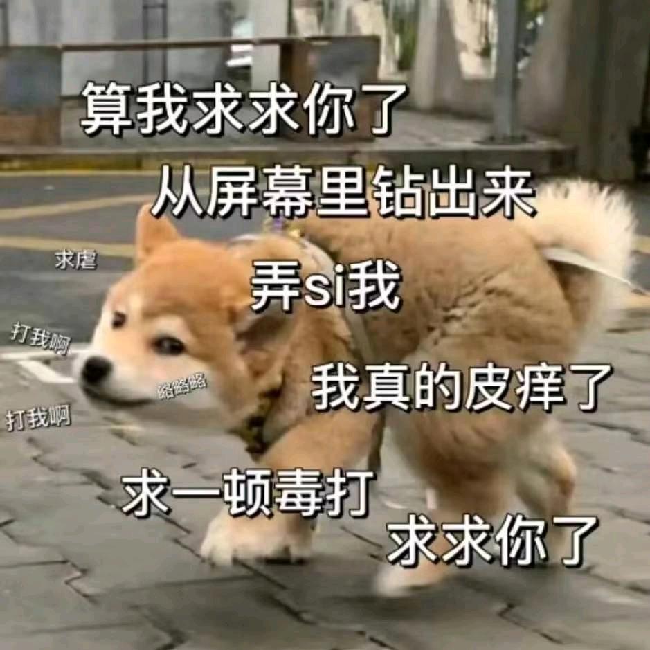 CFM不爱吃香菜（二指纯手搓）