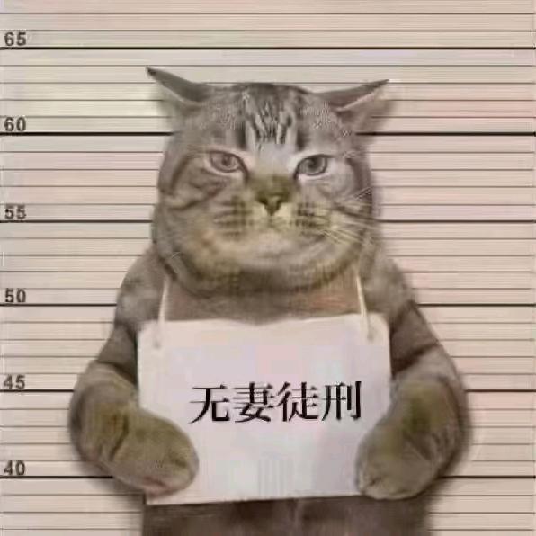 出气筒