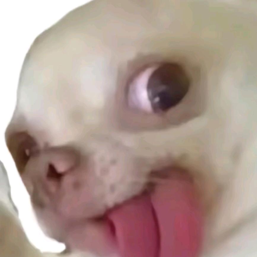 浅碎时光
