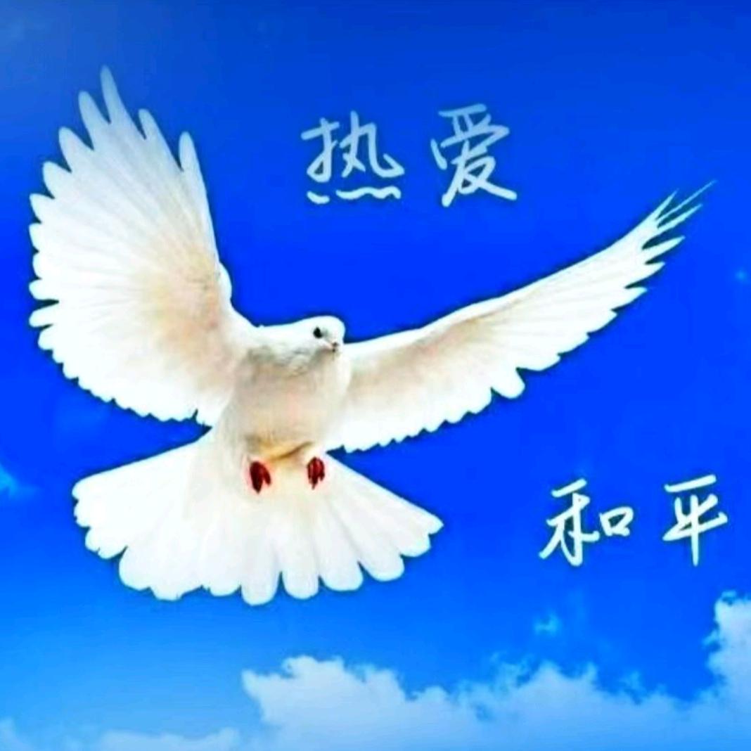 ⭐熱愛和平⭐
