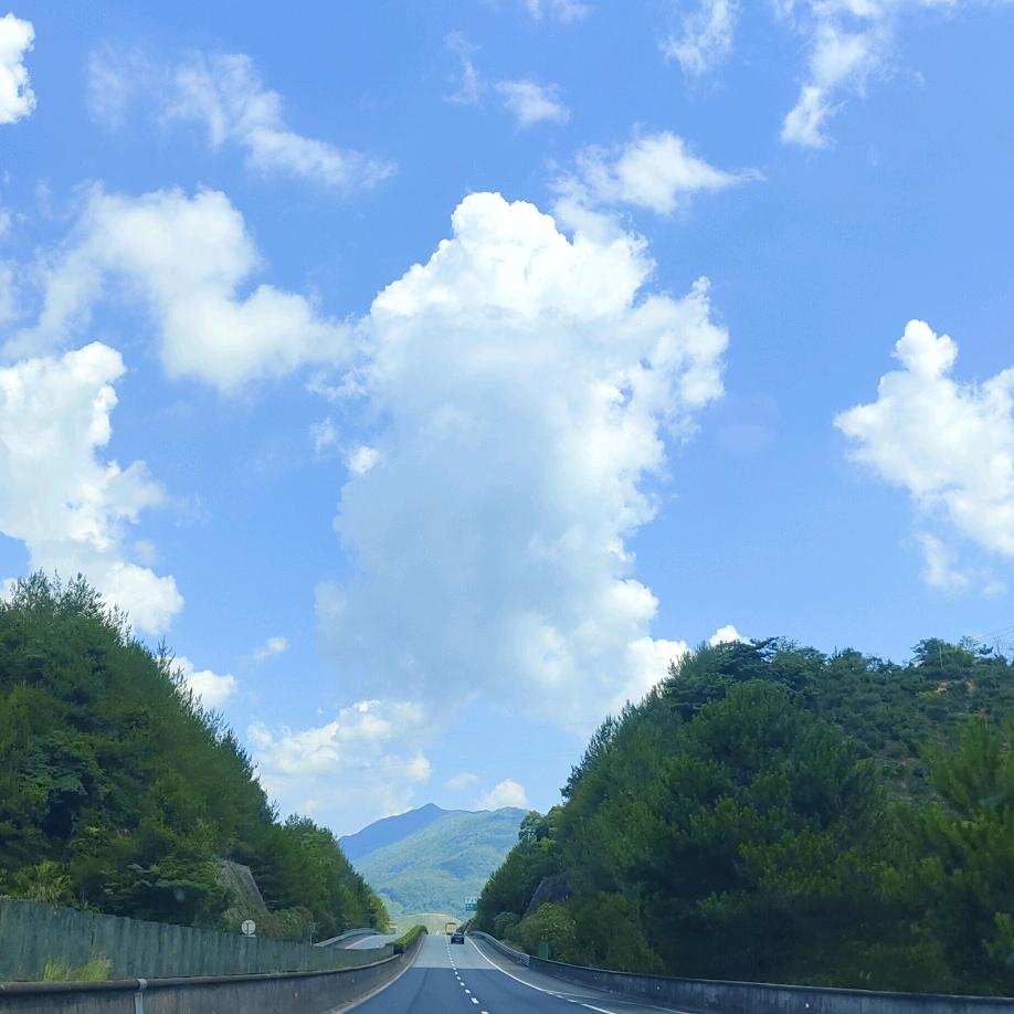 ༢不再单纯^ _ ^