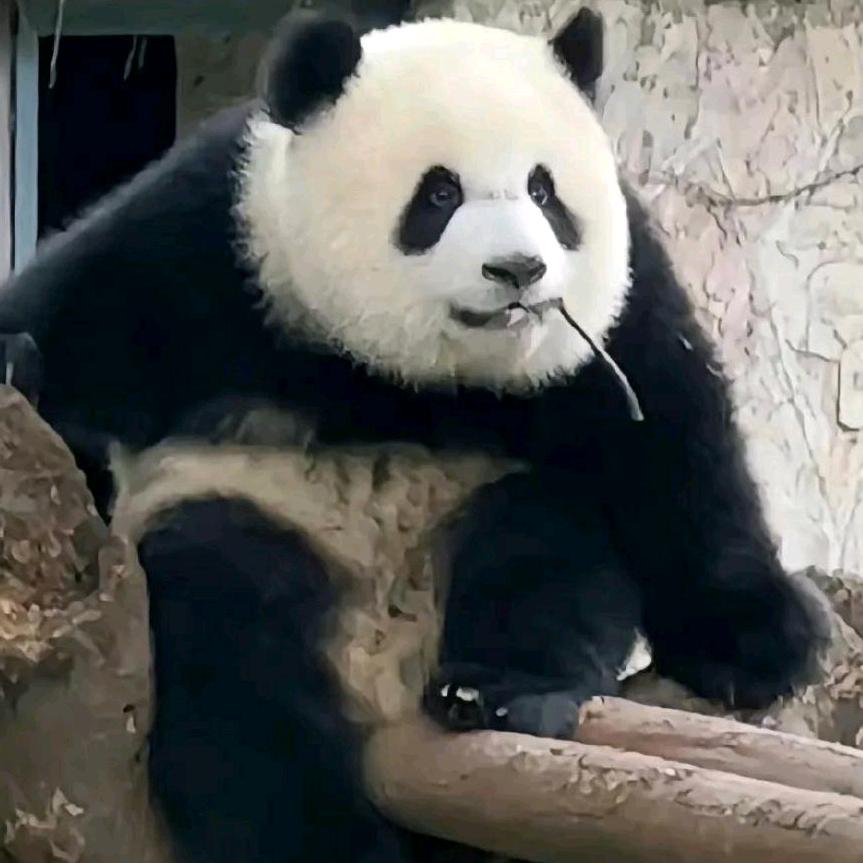 小保护官渡区谷菊丽百货店