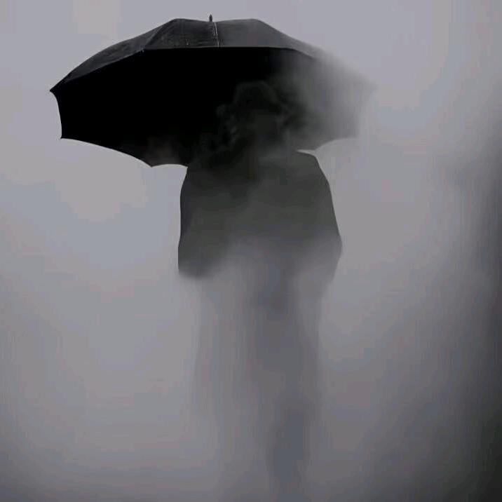_苏珊你莫要说头像