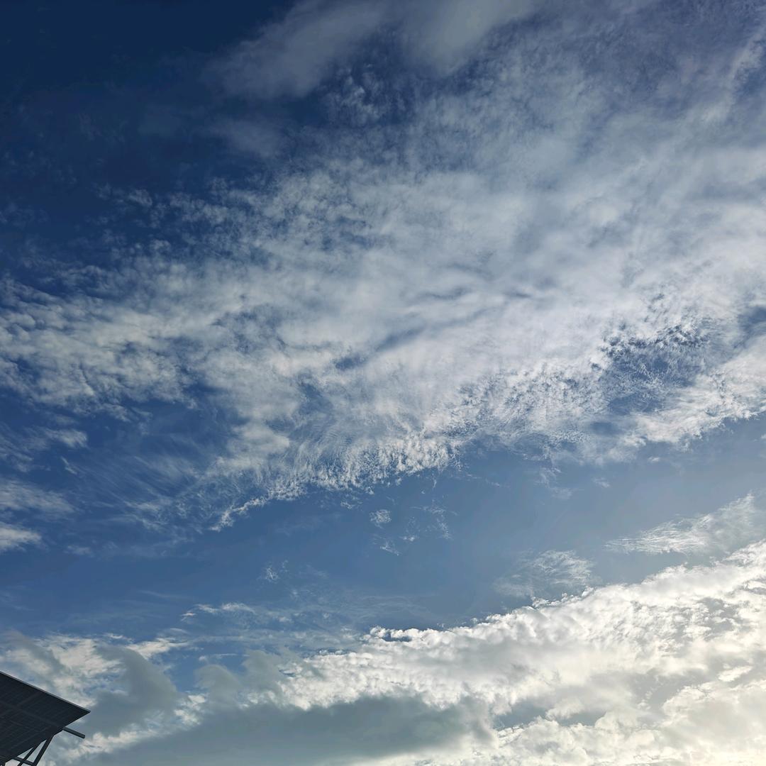 二亩地能当老板不