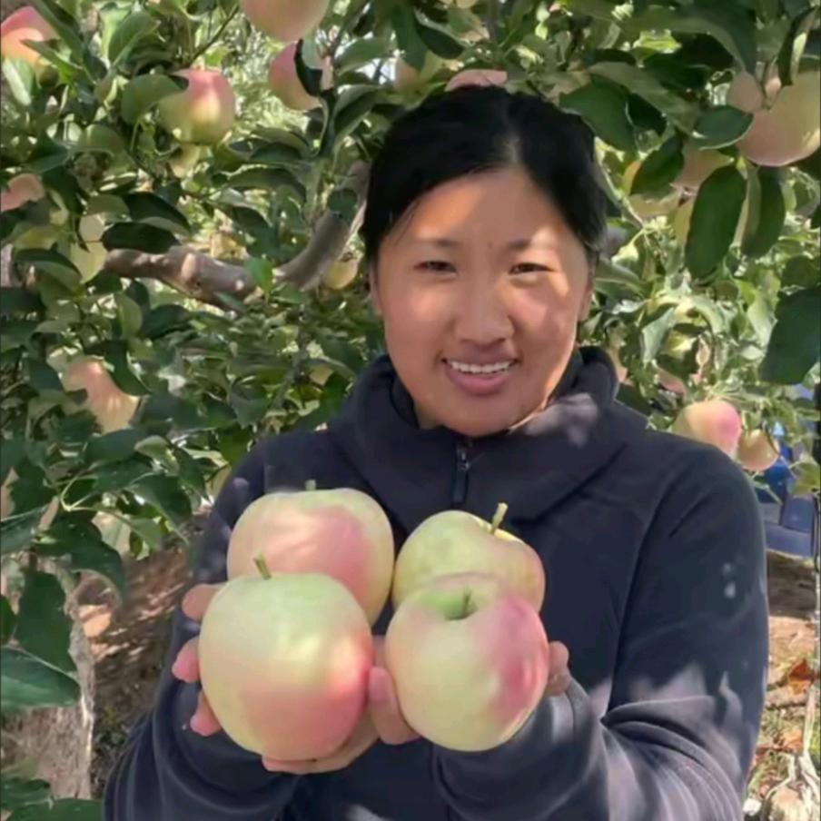 大连宸晞特色水果（山地红脸王林苹果）