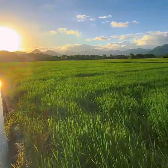 助力乡村源头产地优选