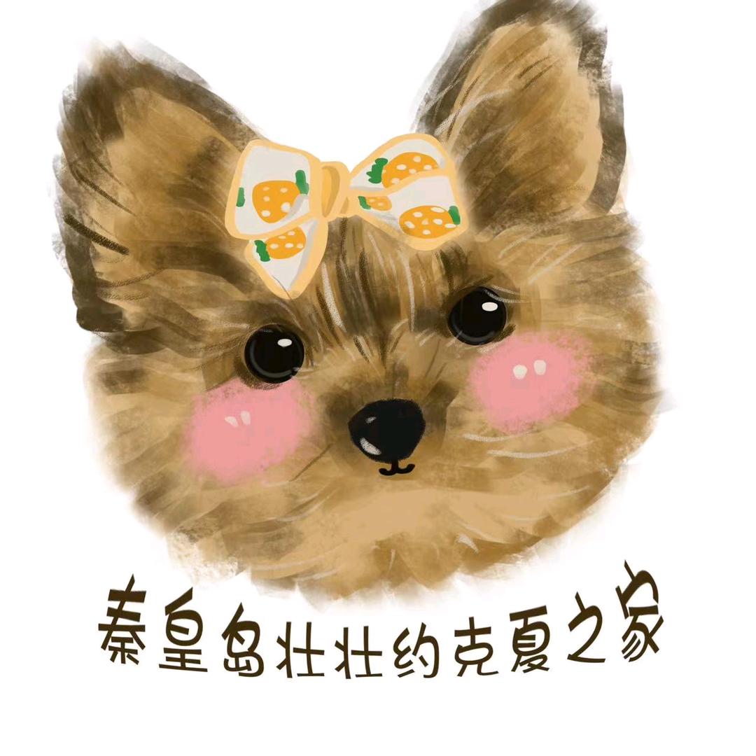 秦皇岛大壮约克夏之家