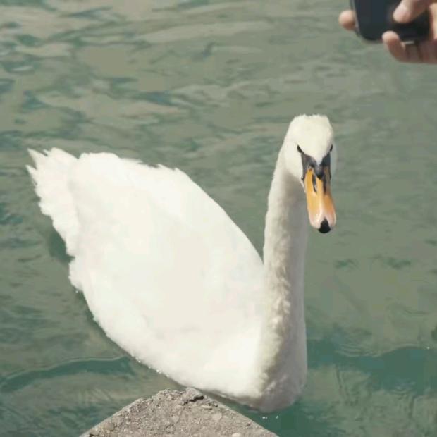 🌈用户幸运中奖了^_^🌈头像