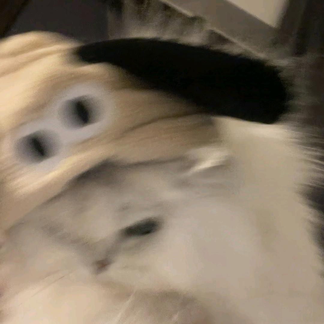 再睡亿分钟😴