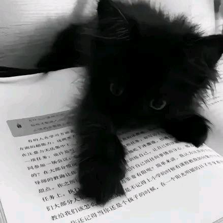 χ