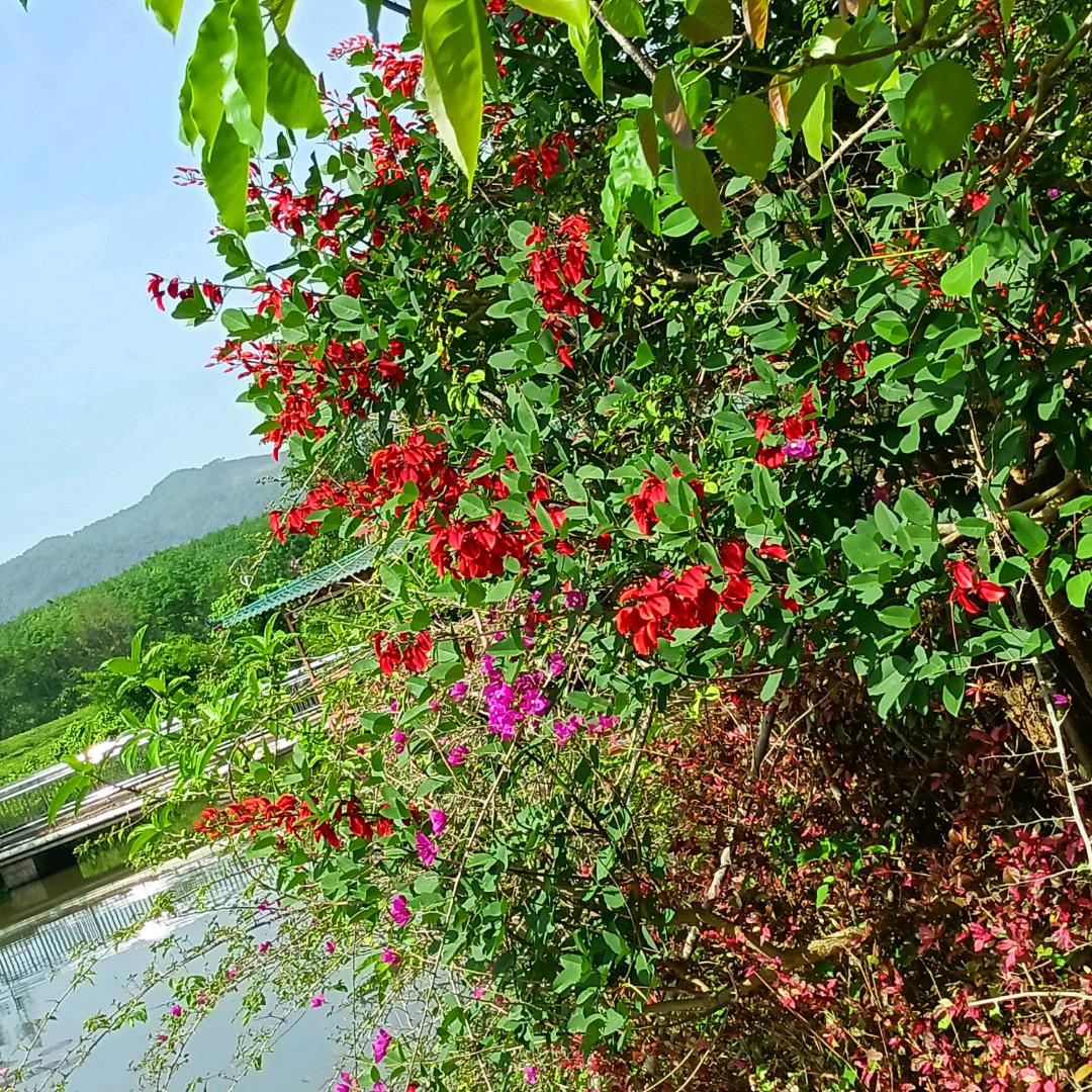 恍如隔世