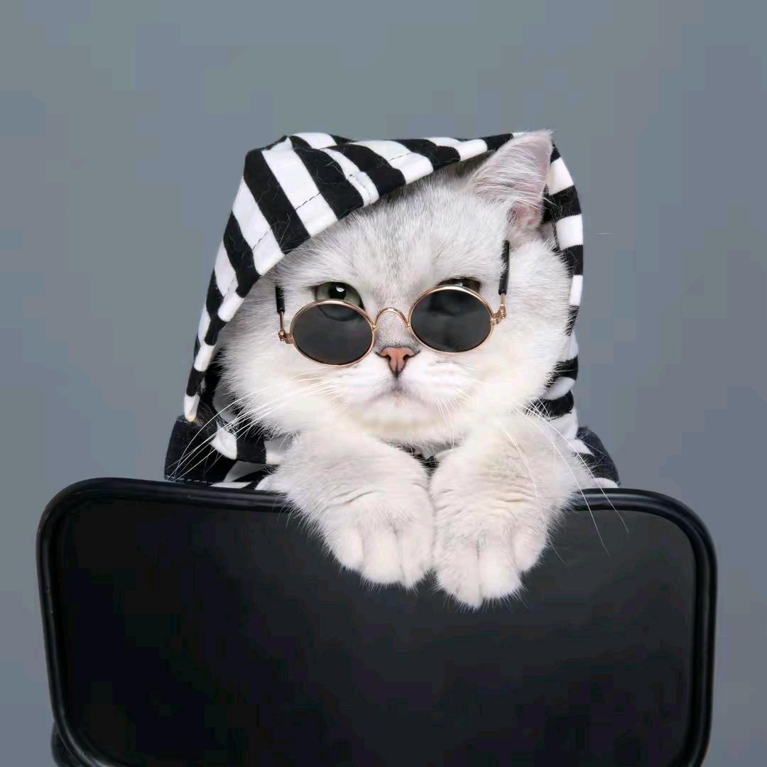 ☘᭄小虎哥٭ꦿᩚ꯭࿐