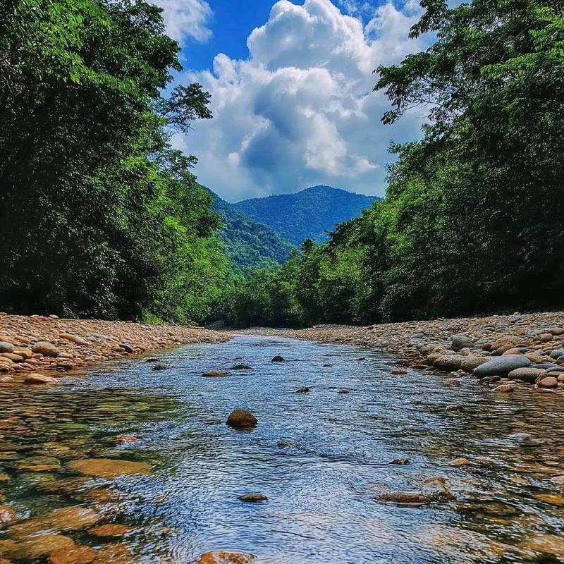 溪流钓爱好@林凌