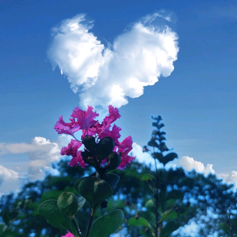 每晚相见