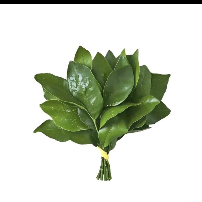 大胖要减肥