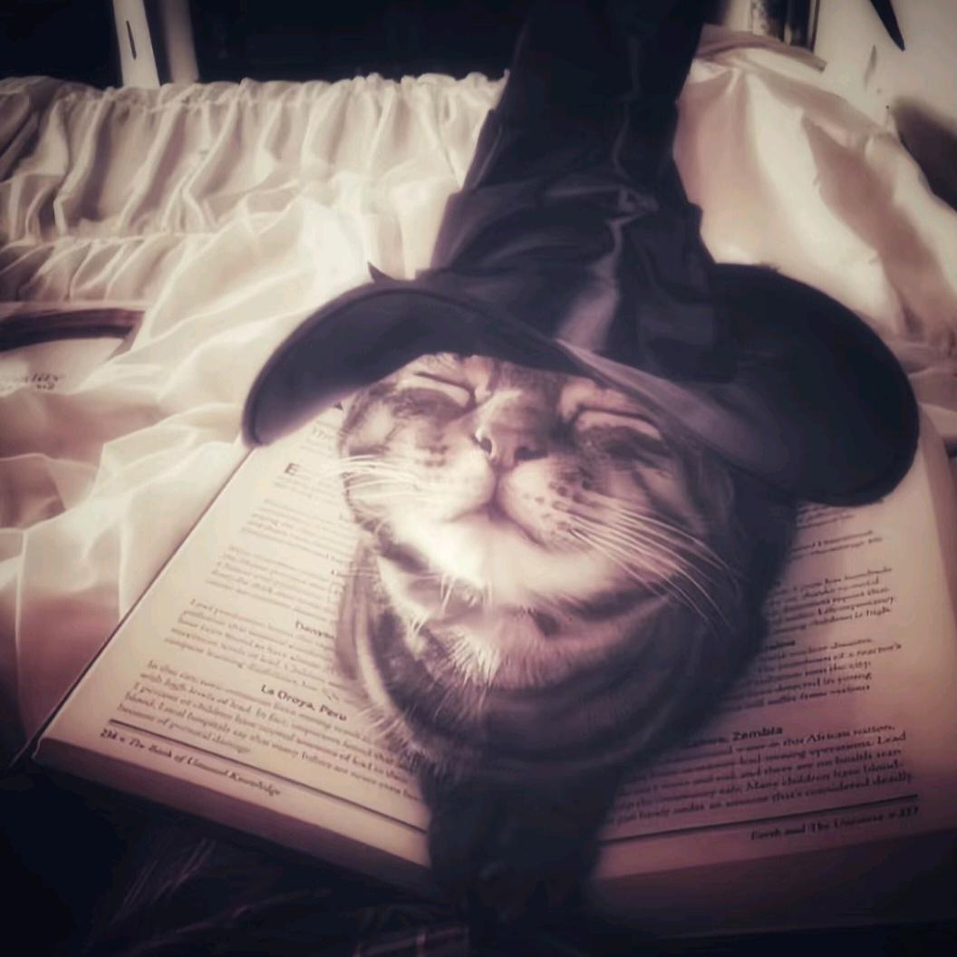 纯情偷油婆咬爆你痔疮