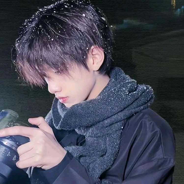 锦巡