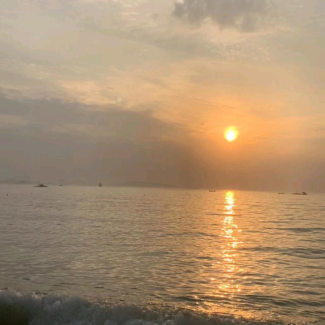 仙人掌