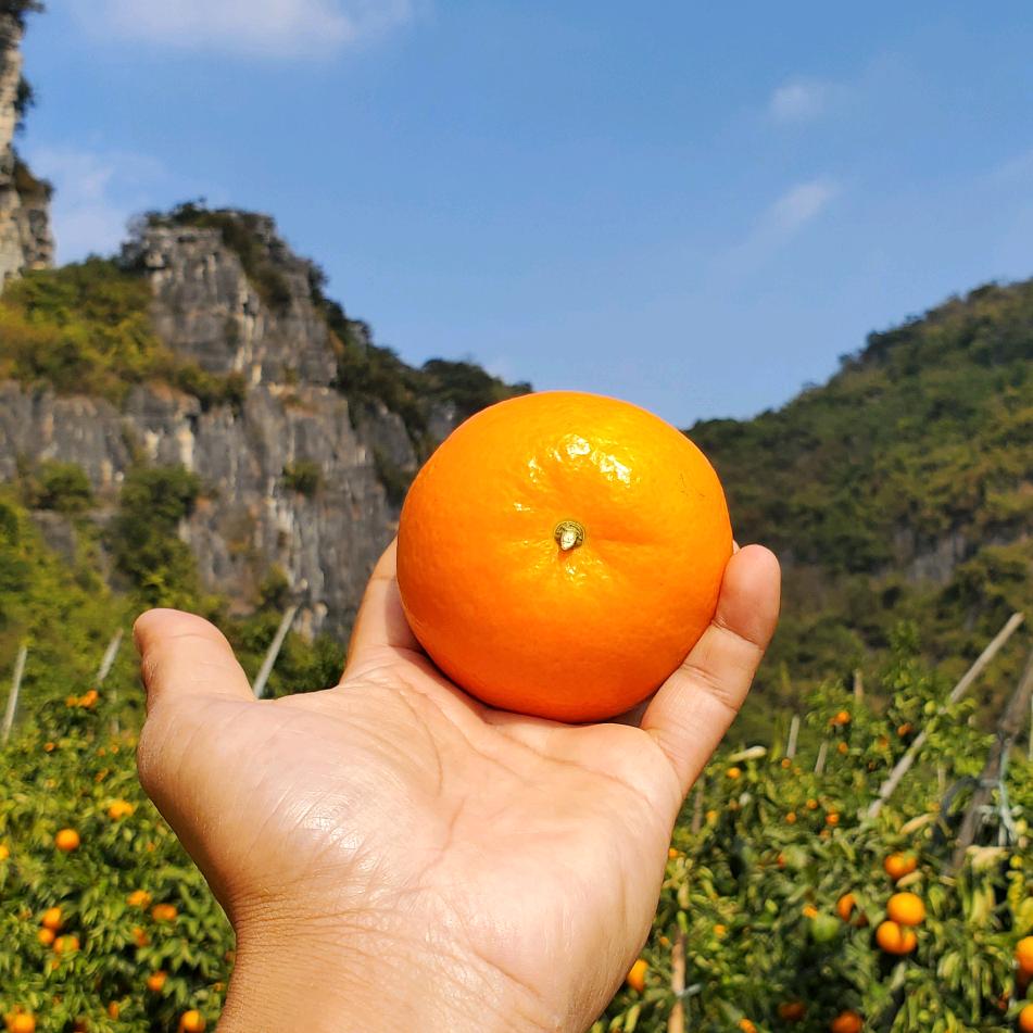 暖阳阳生鲜店