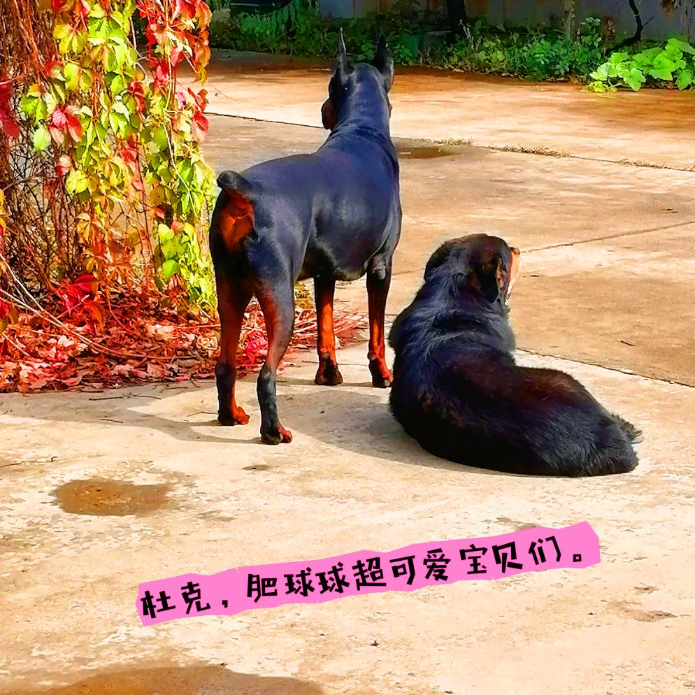 女人花美0213