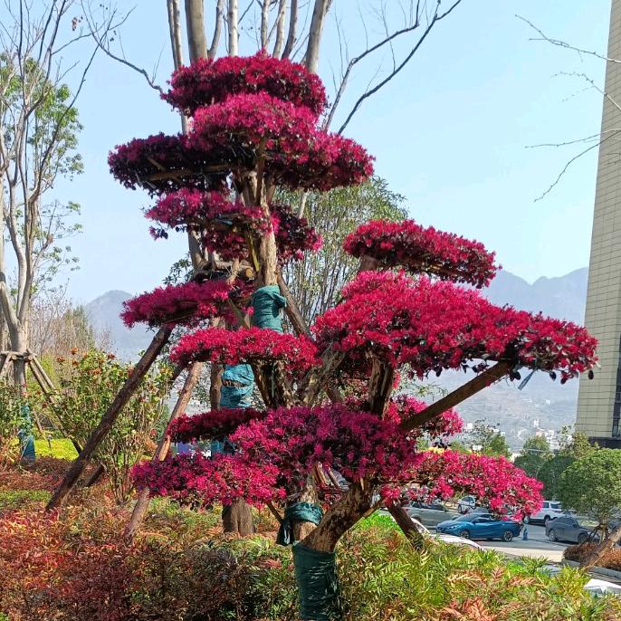 三个孩子的农村宝妈