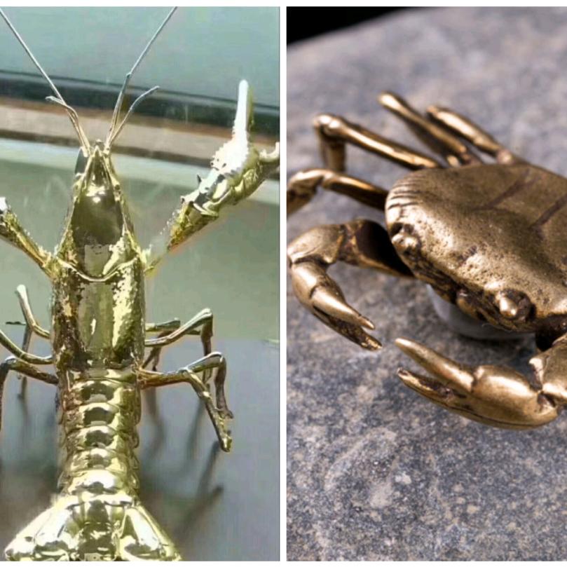 @顺欣水产～虾蟹批发😊😊😊