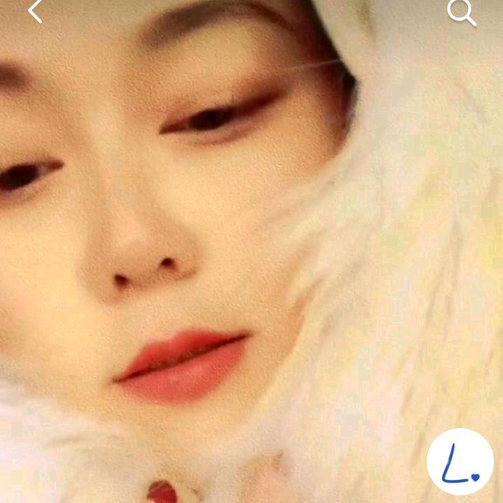 @巷子里的猫🐱