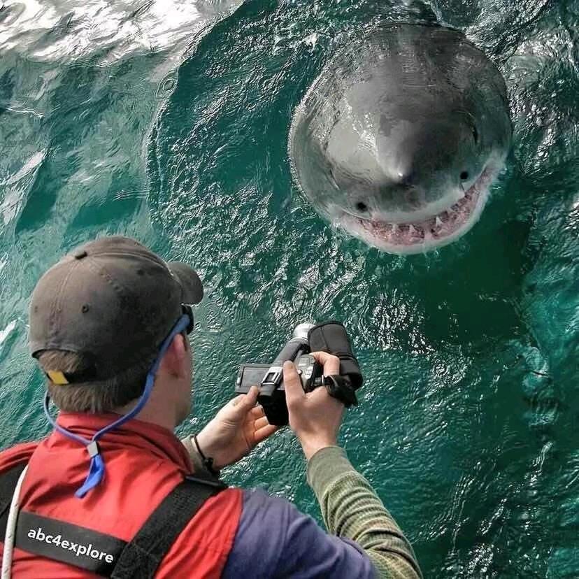 阿斌讲百货（找dai下）