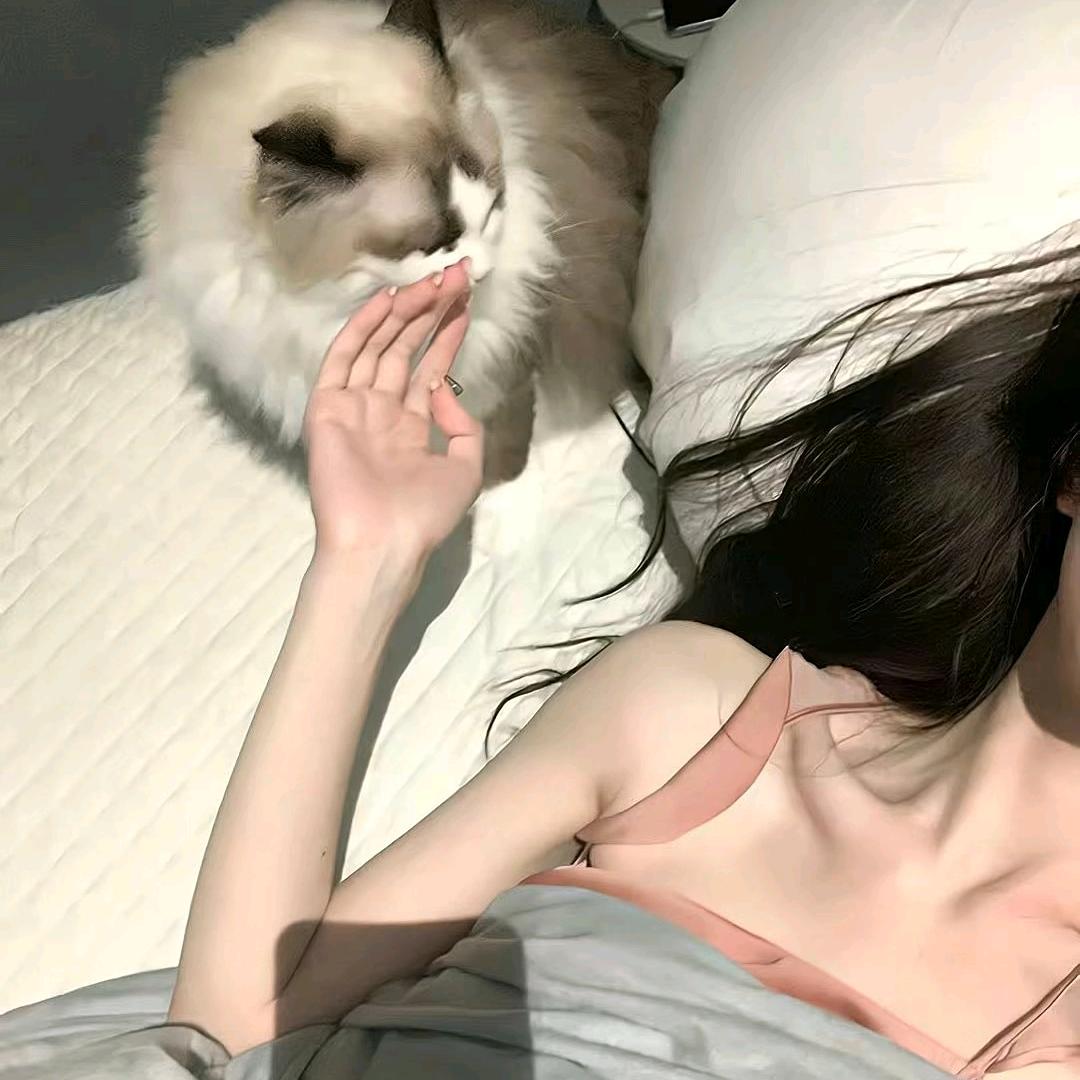 ღ拒绝♡共享ღ